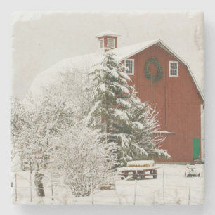 Porta-copo De Pedra América do Norte, EUA, WA, Ilha de Whidbey.