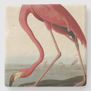 Porta-copo De Pedra American Flamingo, das Aves da América de Audubon