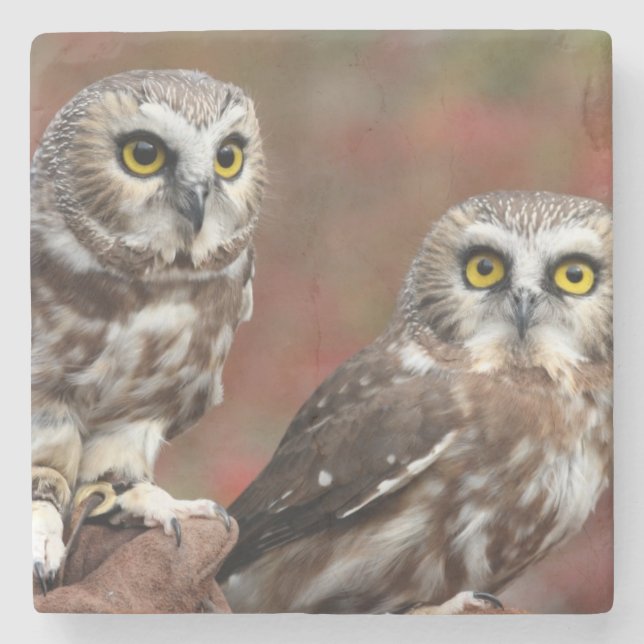 Porta-copo De Pedra Amigos (Frente)