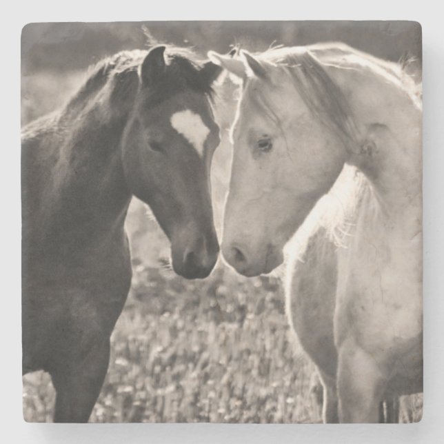 Porta-copo De Pedra Amor do cavalo (Frente)