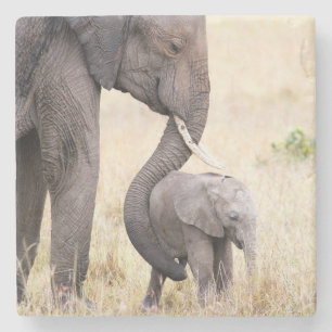 Porta-copo De Pedra Amor maternal