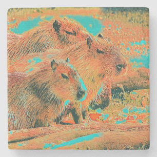 Porta-copo De Pedra AnimalMix_Capybara_006
