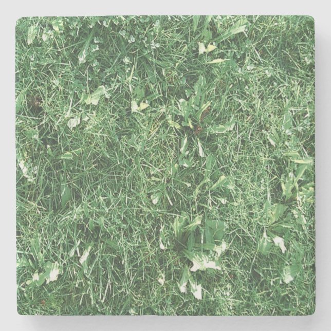 Porta-copo De Pedra Apenas Grama (Frente)