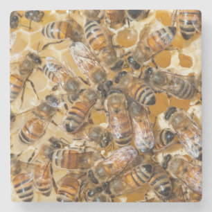 Porta-copo De Pedra Apicultura na Arlo's Honey Farm