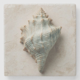 Porta-copo De Pedra Aqua Conch Shell Coastal Art