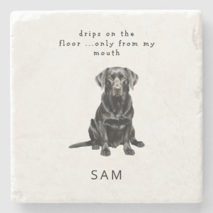 Porta-copo De Pedra Aquarela Pet Funny Personalizada