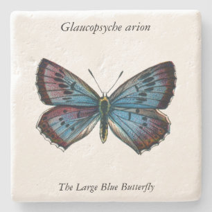 Porta-copo De Pedra Aron Glaucopsyche - A Grande Borboleta Azul