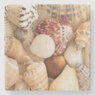 Porta-copo De Pedra Arranjo do Seashell