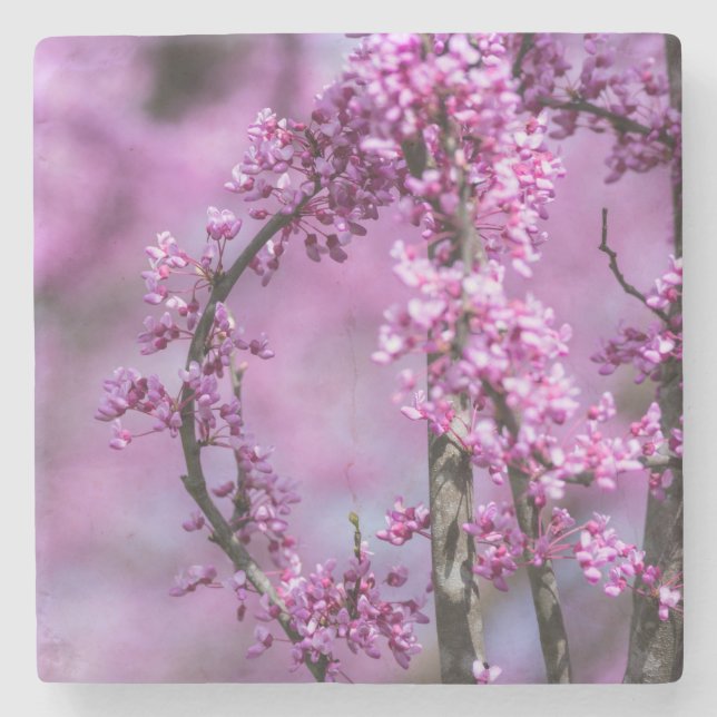 Porta-copo De Pedra Arte Avondale Redbud (Frente)