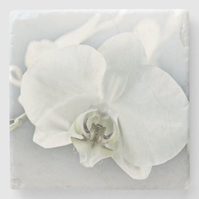 Porta-copo De Pedra Arte Botânica de Orquídea Branca Elegante (Frente)