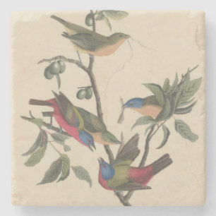 Porta-copo De Pedra Arte Colorida de Pintassilgo Pintado Audubon Vinta