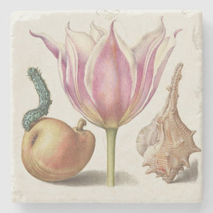 Porta-copo De Pedra Arte de Caligrafia do Renascimento Tulipa Rosa e P