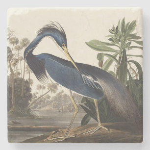 Porta-copo De Pedra Arte de Pássaro da Garça da Louisiana de Audubon V