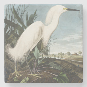 Porta-copo De Pedra Arte de pássaro Garça Branca Audubon Vintage