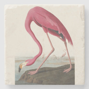 Porta-copo De Pedra Arte de Pássaro Rosa Flamingo Americano Vintage Au