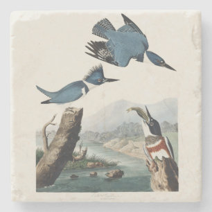 Porta-copo De Pedra Arte de Pássaro Vintage Audubon Belted Kingfisher