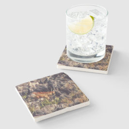 Porta-copo De Pedra Arte do Guana Laranja