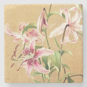 Porta-copo De Pedra Arte Floral Botânica de Lírio Oriental Rosa Vintag