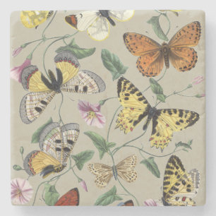 Porta-copo De Pedra Arte Floral Botânica de Mariposa Borboleta Vintage