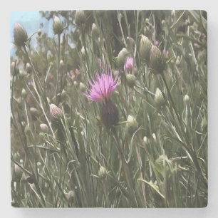 Porta-copo De Pedra Arte Realista Roxo Thiste Wildflower