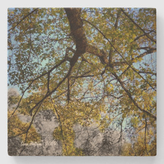 Porta-copo De Pedra Árvore Amarela no outono
