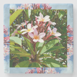 Porta-copo De Pedra Árvore de Flor Rosa Frangipani,