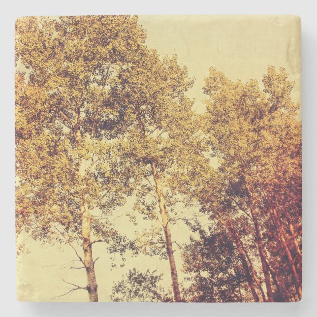 Porta-copo De Pedra árvores (Frente)