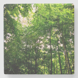 Porta-copo De Pedra Árvores