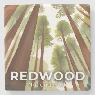 Porta-copo De Pedra Árvores Redwood Parque Nacional Aquarela Viagem