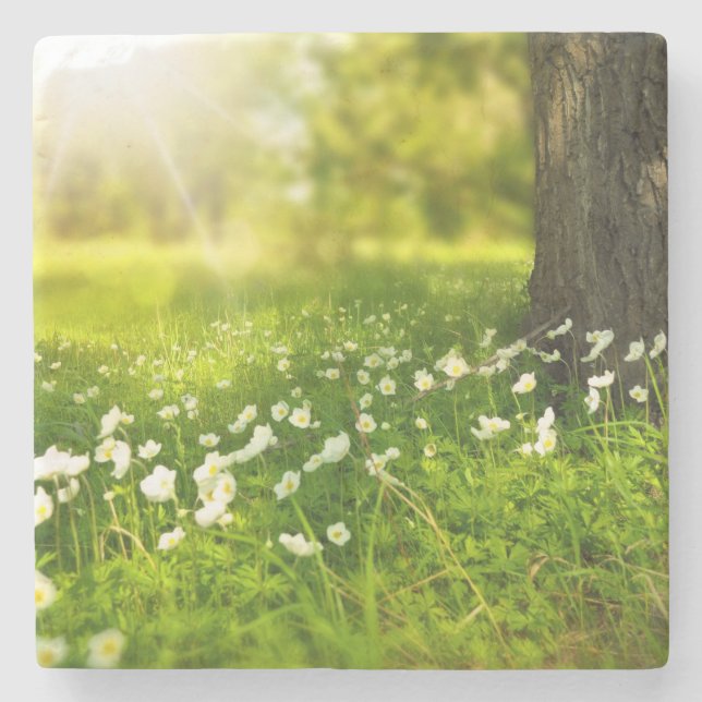 Porta-copo De Pedra As alegrias da Primavera (Frente)