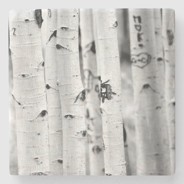 Porta-copo De Pedra Aspen alto (Frente)