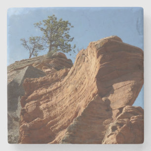 Porta-copo De Pedra Até Angels Landing no Parque Nacional de Zion