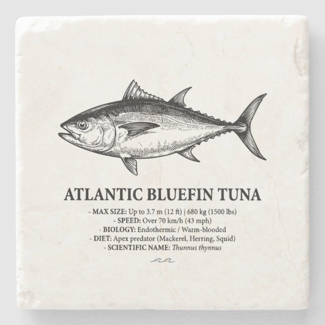 Porta-copo De Pedra Atlantic Bluefin Tuna Scientific Illustration  (Frente)