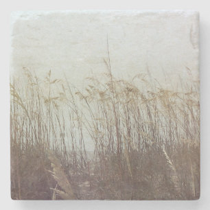 Porta-copo De Pedra Através das Dunas II