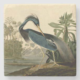 Porta-copo De Pedra Audubon Louisiana Heron Birds América Art