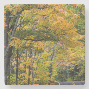 Porta-copo De Pedra Autumn Canopy Of Color Ao Longo Da Estrada 41