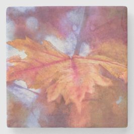 Porta-copo De Pedra Autumn Maple Leaf Photo Art