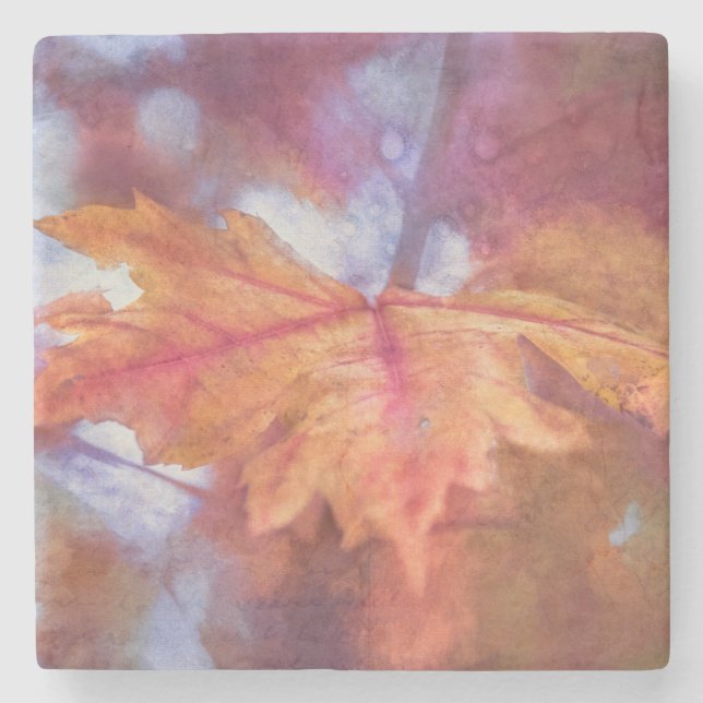 Porta-copo De Pedra Autumn Maple Leaf Photo Art (Frente)