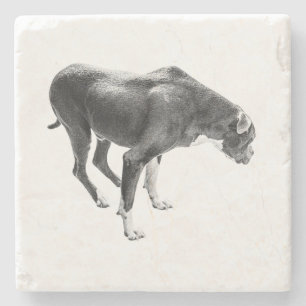 Porta-copo De Pedra Autumn Mesa Guardian