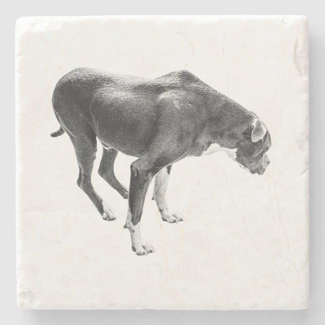 Porta-copo De Pedra Autumn Mesa Guardian (Frente)