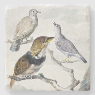 Porta-copo De Pedra Aves em Galho de Arte com Tom Neutro Elegante