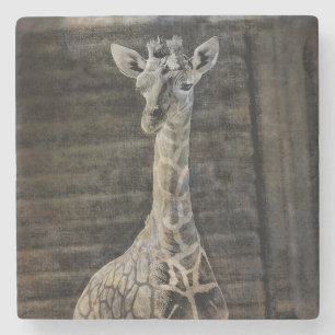 Porta-copo De Pedra Baby Giraffe