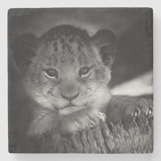 Porta-copo De Pedra Baby Lion (Frente)