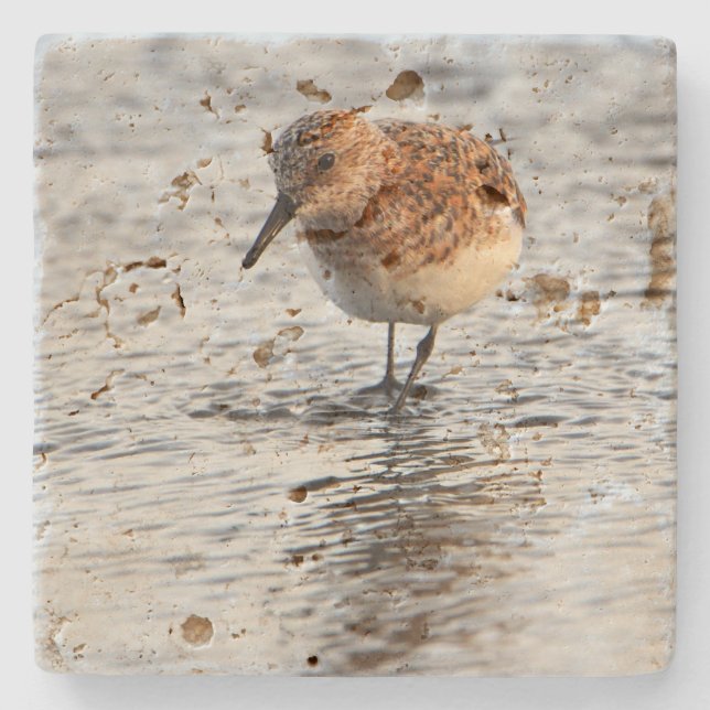 Porta-copo De Pedra Beach Bird Photo Stone Coaster (Frente)
