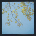 Porta-copo De Pedra beautiful branch with green and yellow leaves hug<br><div class="desc">beautiful branch with green and yellow leaves hugging a clear blue sky . a great design fitting for artists and nature lovers who adore the sight of a beautiful blue sky hugging green and yellow plants and trees. it can also be given as a gift during happy occasions to your...</div>