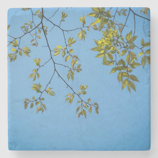 Porta-copo De Pedra beautiful branch with green and yellow leaves hug (Frente)