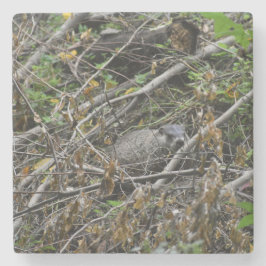 Porta-copo De Pedra Beaver Ocupado