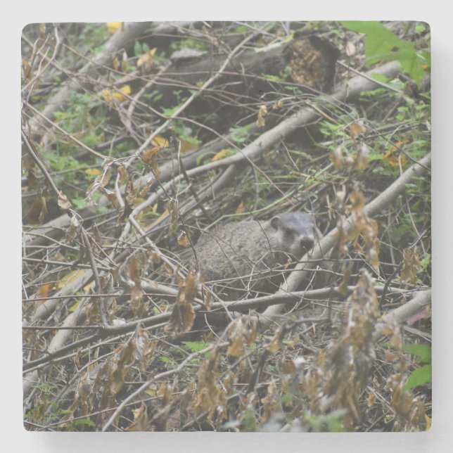 Porta-copo De Pedra Beaver Ocupado (Frente)