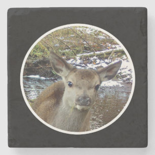 Porta-copo De Pedra Bebê Corça Adorável Fawn Natureza Florestal Pose F