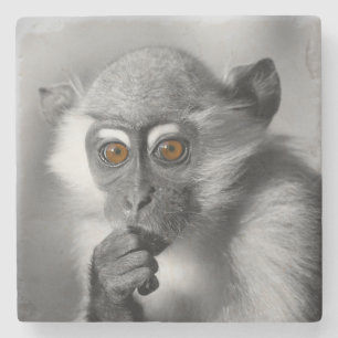 Porta-copo De Pedra Bebê Mangabey Mackey